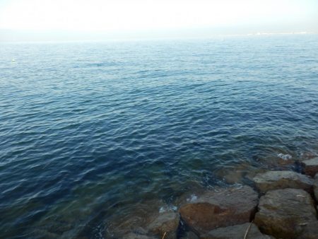 熱中症⁇超危険‼南大阪